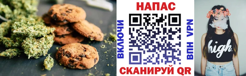 магазин продажи наркотиков  hydra зеркало  Cannafood марихуана  Аркадак 