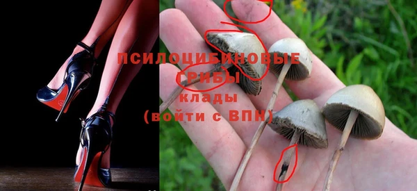 a pvp Арсеньев