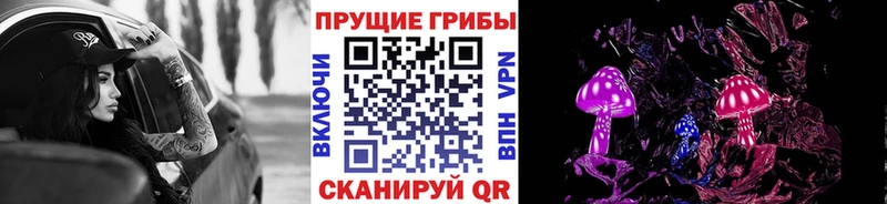 закладка  Аркадак  Псилоцибиновые грибы Psilocybine cubensis 
