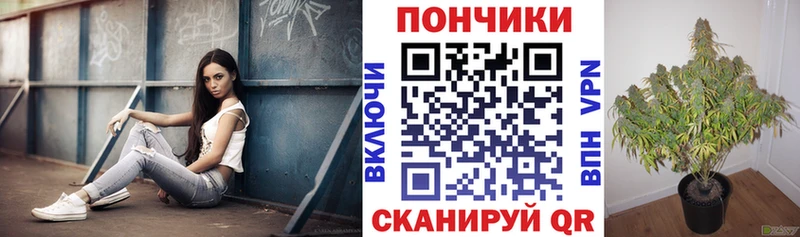 купить  сайты  Аркадак  Каннабис план 