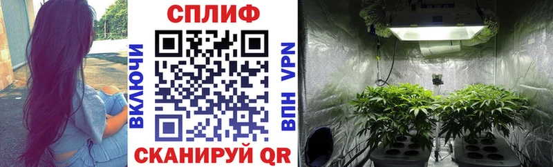 Шишки марихуана Bruce Banner Аркадак